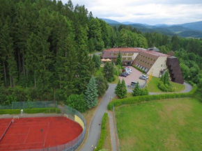 Wellness Hotel Diana, Velké Losiny